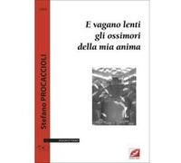 Partitions classique Symetrie PROCACCIOLI S. - E VAGANO LENTI GLI OSSIMORI DELLA MIA ANIMA - VIOLON Violon