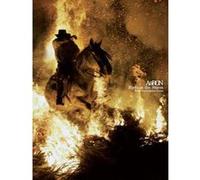 AARON - BIRDS IN STORM - PVG TAB