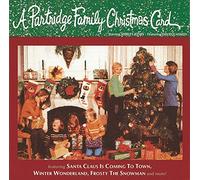 Partridge Family - Partridge Family Christmas