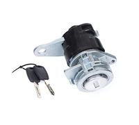 Partsline Barillet de Porte Battante Arrière compatible avec Jumper Doblo | Avec 2 clés. Aussi compatible avec Ducato Boxer. Réf. équivalente : 4262SK