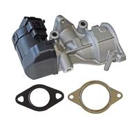 Partsline Vanne EGR avec joints compatible avec C4, C5, 308, 407, Focus II, Mondeo IV, équivalent à 1939FP, 3M5Q-9D475-BA