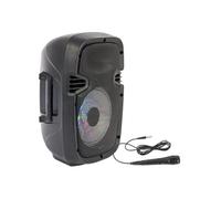 Party Light & Sound PARTY-7LED - Haut-parleur - pour système d'assistant personnel - sans fil - Bluetooth - 300 watt
