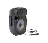 Party Light & Sound PARTY-7LED - Haut-parleur - pour système d'assistant personnel - sans fil - Bluetooth - 300 watt