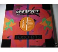 Party people in the house (feat. Prhyme) / Vinyl Maxi Single [Vinyl 12'']