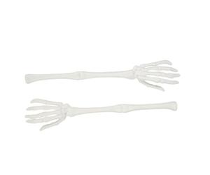 Party Pro 913OS, Lot de 2 Bras de Squelette Couverts à Salade, Blanc