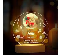 Party to Be Cadeau Commémoratif avec Photo Personnalisé pour Chat Décédé Plaque Acrylic avec Socle LED Lumineux pour Animaux de Compagnie à Personnaliser (Style E)