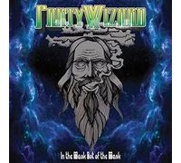 Party Wizard - In The Mask Not Of The Mask [VINYL] [Vinyl LP]