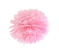 PartyDeco - 25 cm de diamètre - Pompon Rose - 25 cm de diamètre - Papier