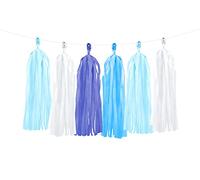 PartyDeco Guirlande à Pampille pour la décoration de fêtes d'anniversaire ou à thème. 30 x 150 cm