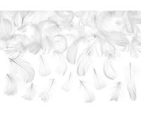 partydeco.pl 3 g Plumes Blanches