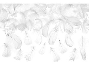 partydeco.pl 3 g Plumes Blanches
