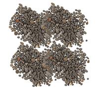 PartyKindom 1 Table De Sable Pierres D'Aménagement Paysager Mini Vase Mini Diorama De Poissons Gravier De Remplissage pour Aquarium Gravier Noir Décoration De Table Roches Blanches