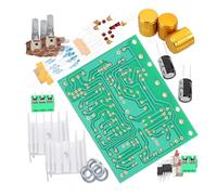 PartyKindom 1ensemble Carte Amplificateur Stéréo à Double Canal pour Kit De Audio avec Bouton Doré pour Haut-parleurs Et Systèmes Audio