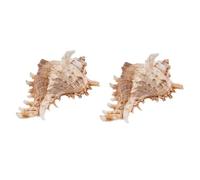 PartyKindom 2Pièces Décorations Naturelles de Coquilles de Conque pour Aquarium Lot pour Aménagement Paysager et Décoration Intérieure Convient Aux Petits Réservoirs