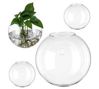 PartyKindom 4pièces Stations De Multiplication pour Plantes Intérieur Supports Muraux Verre Terrariums Suspendus Décoration Murale pour Maison