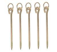 PartyKindom 5pièces Piquets Attache pour Laisse De Chien à Planter Le Sol Accessoires pour Animaux De Compagnie Extérieur Ancrage Robuste pour Pâturages Et Enclos Temporaires