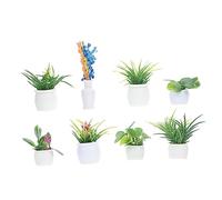 PartyKindom 8 pièces Miniature Plant Model Set Creative Kid Mini Plant Toys for Dollhouse Decoration Random Styles Plastic Micro Scene Adornment