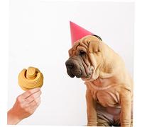 PartyKindom Balle à Renifler pour Chien Jouet Entraînement Balle De Recherche De Nourriture Jouet Alimentation Lente pour Animaux De Compagnie