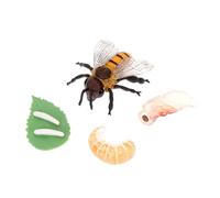 PartyKindom Figurines Éducatives Cycle de Vie Abeille Miniatures Plastique Modèle Pédagogique Montessori pour Garçon Fille Outil Apprentissage Insectes et Nature Décoration et Projet Scolaire