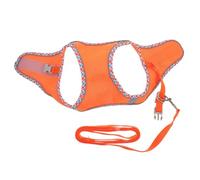 PartyKindom Harnais pour Chien XS Et Laisse De Dressage Gilet De Promenade Multifonctionnel Accessoire Pratique pour Chiot