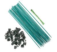 PartyKindom Kit de Tuteurs avec Clips et Attaches pour Support de Plantes Dintérieur Piquets de Fixation Durables pour Tiges Aide Verticale des Fleurs et Plantes Grimpantes