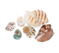PartyKindom Lot De 6 Coquillages Naturels : Coquillages De Conque Décoratifs pour Aquarium, Décoration D'aquarium, Cachettes pour Petits Habitats, Aménagement Paysager sous-Marin