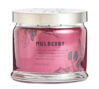 PartyLite Parfum mûre, notes de cassis acidulé, mûre douce, mûre juteuse et bijoux de grenade, bougie en pot à 3 mèches de 374,2 g, durée de combustion de 45 heures, parfum luxueux, parfait pour