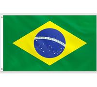 PartyYaa Drapeau Brésil 150x90cm Drapeau Brésil Impression Unilatérale avec 2 Oeillets en Laiton Imperméable Bannière Brésilienne pour Fête Nationale Coupe du Monde Rues Jardin Bar Party Décoration