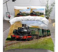 Parure de Lit 240x260 cm Train Chemin De Fer Microfibre 3D Imprimée 2 Personnes Qualité Supérieure Housse de Couette Voiture à Vapeur Rétro avec Fermeture Eclair avec 2 Taies d'Oreillers 50x75
