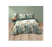 Douceur d'Intérieur – Parure de lit 3 pièces Otika – 240 x 220 cm – 100% coton – 42 fils – Vert