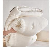 Parure de lit double couche pour grand lit - Couette double couche pour l'hiver - Couette douce pour hôtel et chambre à coucher, légère et confortable, 4,8 kg - Blanc