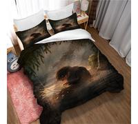 Parure De Lit Ste-X Pour Jeunes, Housse De Couette Monde Des Contes De Fées, Microfibre, Avec 2 Taies D'oreiller 50 X 75 Cm