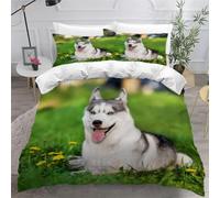 Parures de Lit 2 Personnes Husky Imprimé 3D Housse de Couette 200x200 Microfibre Douce Animaux Mignons et Animaux de Compagnie Housses Couette avec 2 Taies d'oreiller et Fermeture Éclair a868