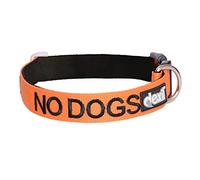 Pas de Chiens (ne Convient Pas aux Autres Chiens). Code Couleur Orange S-M L-XL Collier pour Chien Prévient Les Accidents en avertissant Les Autres de Votre Chien à l'avance (S-M)