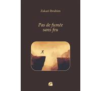 Pas de fumée sans feu - Zakari Ibrahim - Du Pantheon Eds - broché - Nouvelles