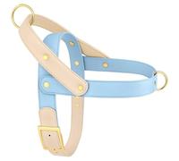 Pas De Traction Soft Confortable Confortable PU Le Cuir en Cuir PU Dog Walking Training Gite pour Pug Pitbull Labrador French Bulldog,Bleu,M