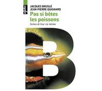 Pas si bêtes les poissons: Scènes de leur vie intime
