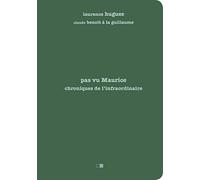 Pas vu Maurice. Chroniques de l'infraordinaire