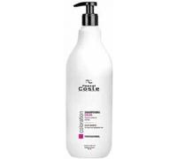 Pascal Coste Shampooing professionnel Color 1L