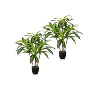 PASCH® 2 x Dracaena Marginata Kunstpalme grand (100 cm) - Durable & Fidèle à la Nature | Plantes artificielles réalistes grandes | Plantes artificielles grandes | Palmier artificiel | Palmier