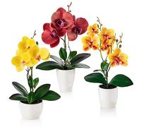 PASCH® Fleurs artificielles en pot (35 cm) - Lot de 3 orchidées artificielles, en pots en céramique brillante, fleurs artificielles, orchidées artificielles (rouge, orange, jaune)