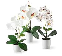PASCH® Fleurs artificielles en pot (35 cm) - Lot de 3 orchidées artificielles, en pots en céramique brillante, fleurs artificielles, orchidées artificielles (composition blanche)