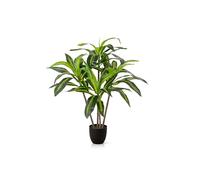 PASCH® Grand palmier dragon artificiel (100 cm), durable et réaliste - Plantes artificielles réalistes - Grandes plantes artificielles - Palmier artificiel pour une ambiance naturelle