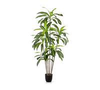 PASCH® Grand palmier dragon artificiel (160 cm), durable et fidèle à la nature, grandes plantes artificielles réalistes, grandes plantes artificielles, palmier artificiel pour une ambiance naturelle