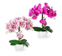 PASCH Lot de 2 orchidées artificielles dans des pots en céramique brillante (40 cm) | Fleurs artificielles en pot | Fleurs artificielles comme de vraies | Orchidées artificielles en pot | Fleurs