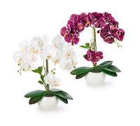 PASCH® Lot de 2 orchidées artificielles dans des pots en céramique brillante (40 cm) | Fleurs artificielles en pot | Fleurs artificielles en pot | Orchidées artificielles en pot | Fleurs artificielles