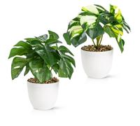 PASCH® Lot de 2 plantes artificielles comme de vraies plantes (18 cm) dans des pots en mélamine incassables | Plantes artificielles en pot | Fleurs artificielles en pot | Fleurs artificielles