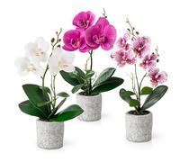 PASCH® Lot de 3 fleurs artificielles en pot (35 cm) - Orchidées artificielles - Arrangement coordonné dans des pots en ciment, fleurs décoratives, orchidées artificielles (blanc/rose, pots en ciment)
