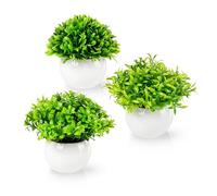 PASCH® Lot de 3 mini plantes artificielles (13 cm) dans des pots en céramique blanches | Mini buis artificiel | Plantes artificielles en pot | Faux plante | Fleurs artificielles en pot | Plante
