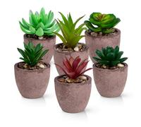 PASCH Lot de 6 plantes succulentes artificielles dans des vases en fibre naturelle : décoration pour salon, salle de bain et bureau